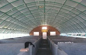 猪舍展示