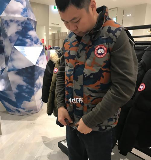 探秘以鹅鹅鸭加拿大鹅玩法的奥妙（玩转以鹅鹅鸭加拿大鹅游戏，你需要知道的一切）