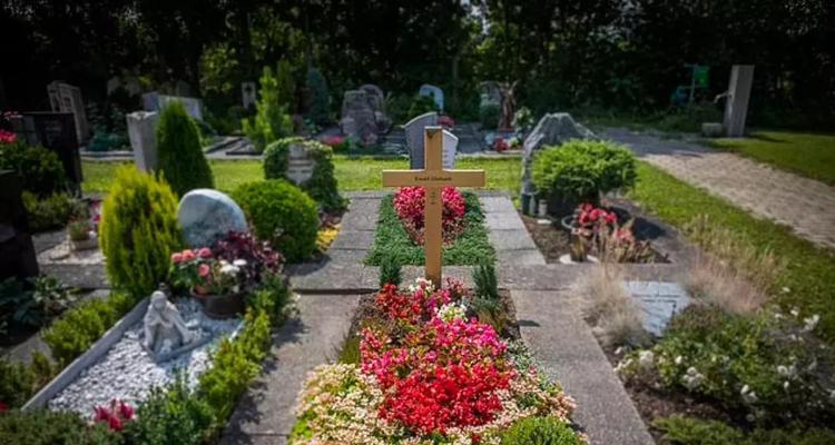 解谜墓地之死真相（探寻谜团，破解真相，挑战智力）