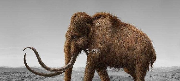疯狂动物园攻略（挑战猛犸象，从属性入手）