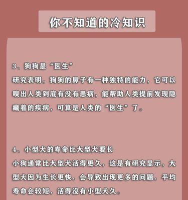 如何培养一只宠物——以魔之谷宠物为例（新手宠物培养指南，从基础到高级一步步教你打造强大的宠物战队）