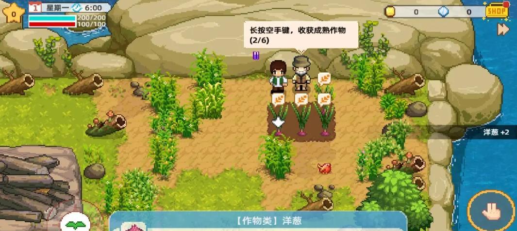 探寻奶牛镇的小时光（在127颗树下找回童年记忆）