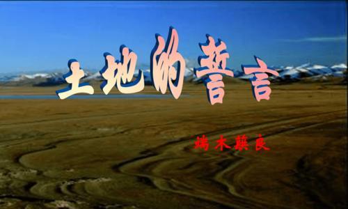 揭秘剑与家园誓言之戒的完美属性（全面解读剑与家园誓言之戒的性能表现）