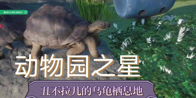 探索动物园之星（游戏中如何灵活切换视角）