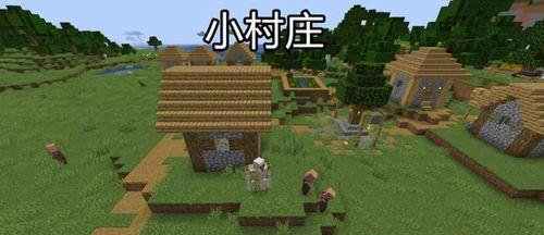 《我的世界》中如何找到有趣的村庄种子？