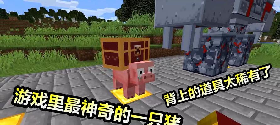 如何成为《我的世界》中的高效资源收集者？资源收集技巧有哪些？
