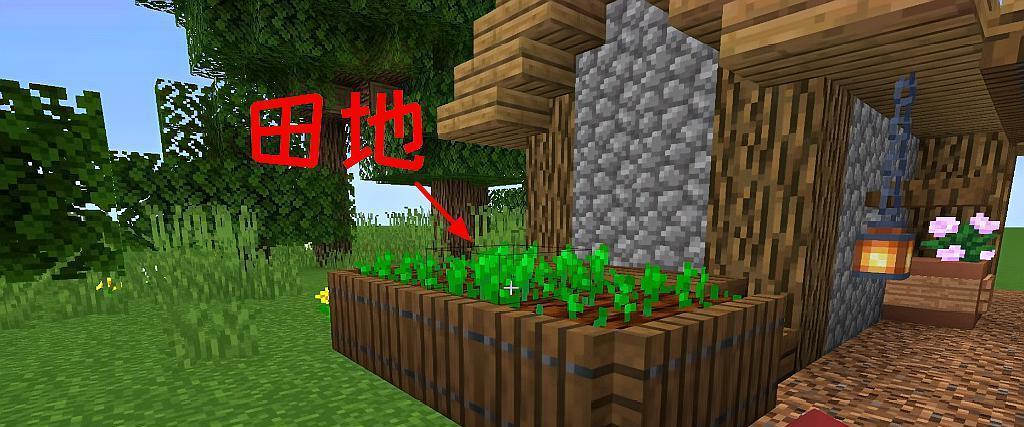 《我的世界》中如何加速农作物生长？有哪些技巧？