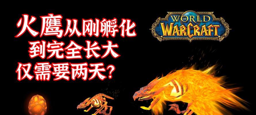小鹰在魔兽世界中消失了如何处理？