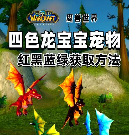 新开服魔兽世界中龙的获取方式是什么？