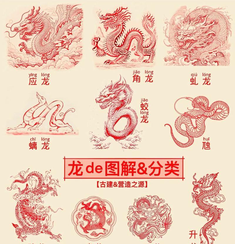 三国杀中龙的级别是如何划分的？不同级别龙的特性是什么？