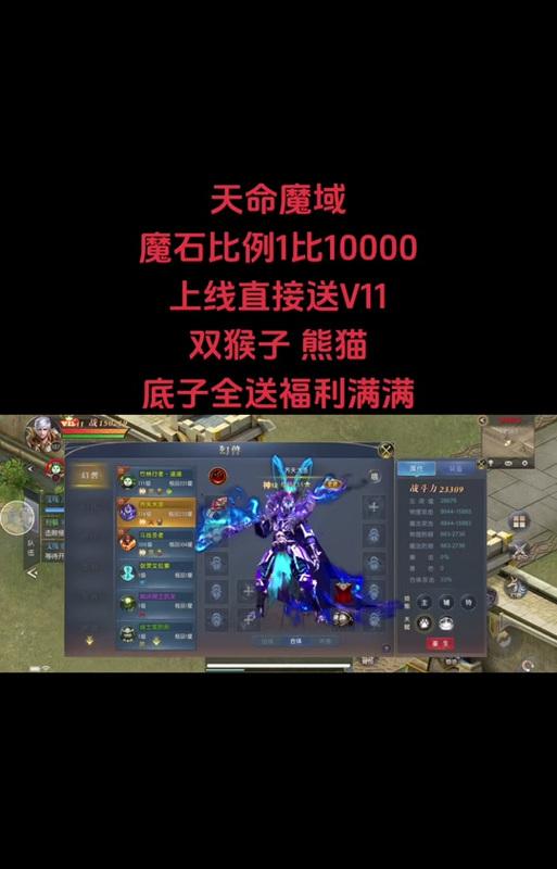 魔域法师龙年宠物搭配推荐是什么？