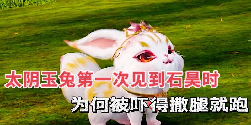 完美世界中太阴兔的由来是什么？