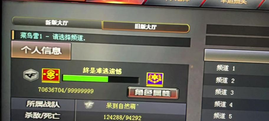 地下城荣誉等级如何提升？有哪些有效方法？