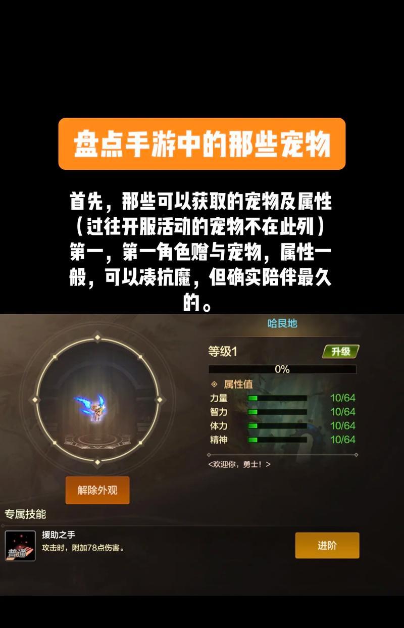dnf宠物选择标准是什么？