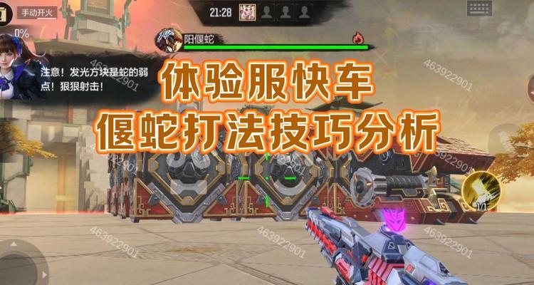 cf神域活动参与人数有多少？如何增加粉丝数量？