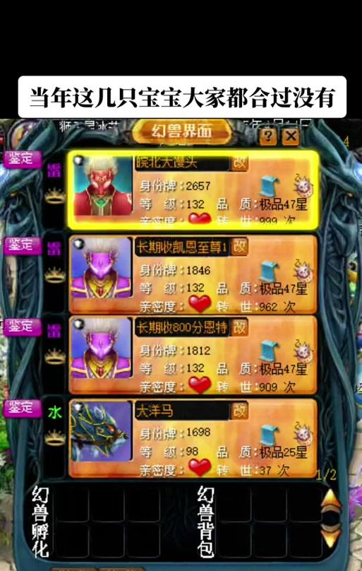 魔域亡灵家族征讨的策略是什么？如何高效进行征讨？