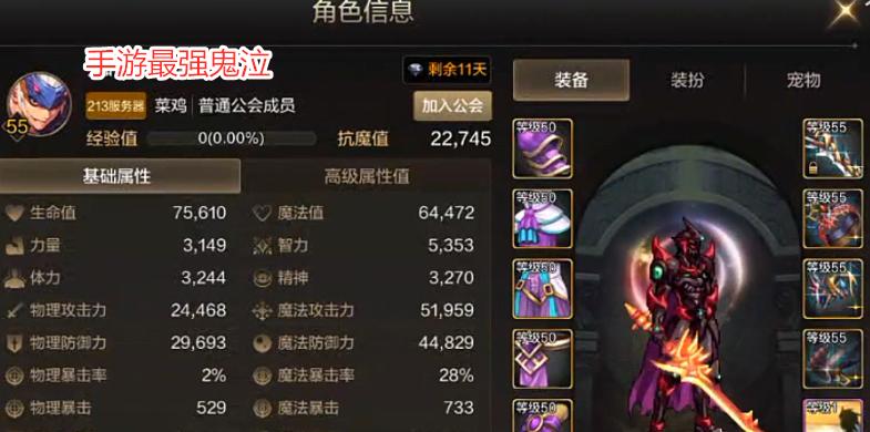 DNF中如何查看角色面板？面板信息有哪些重要性？