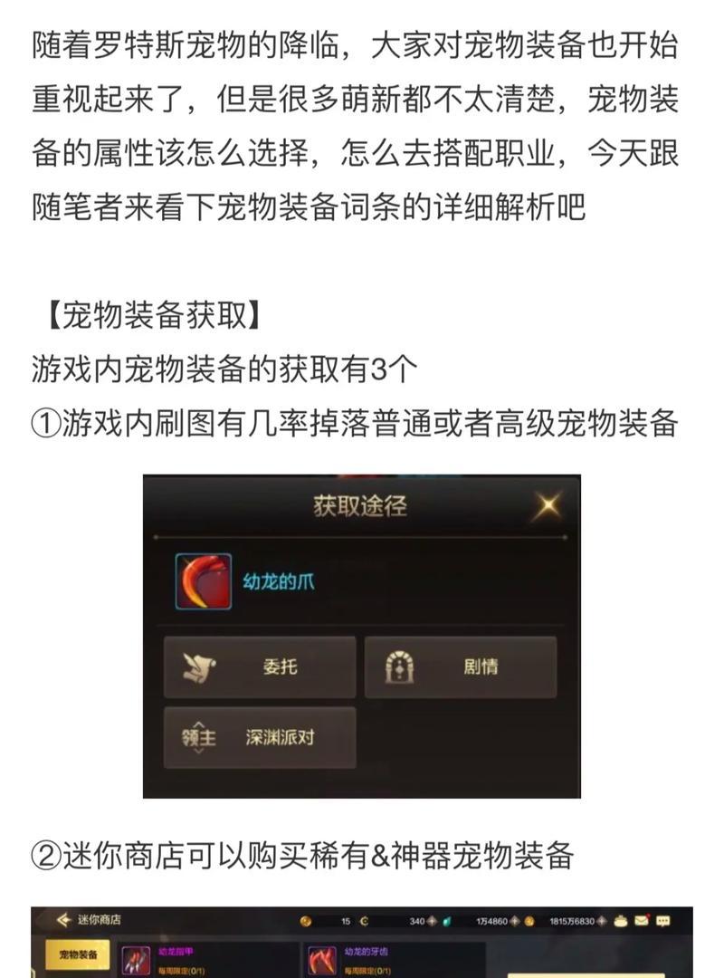 地下城手游宠物怎么进？宠物进入游戏的条件是什么？
