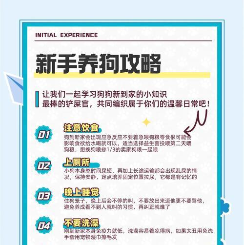 部落冲突中宠狗如何升级？宠狗升级的有效途径有哪些？