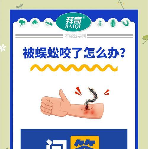 砍蜈蚣时应注意哪些技巧？如何提高战斗效率？