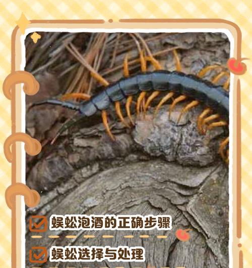 砍蜈蚣时应注意哪些技巧？如何提高战斗效率？