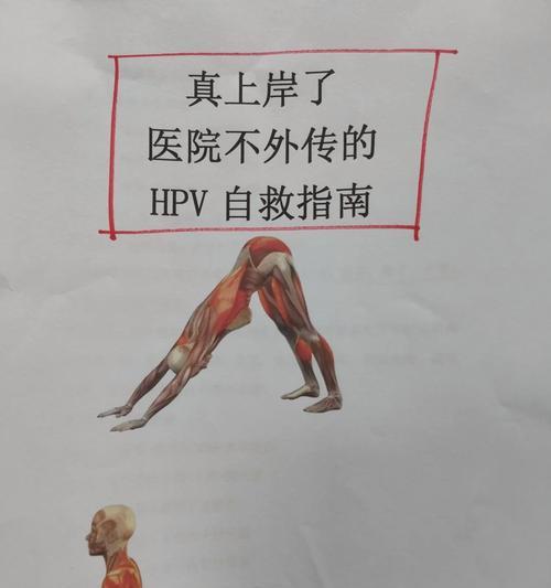 绝地求生击倒后蛙跳技巧是什么？如何正确操作？