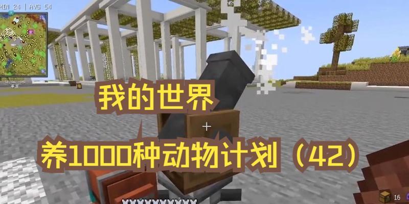 在《我的世界》中如何吸引动物？需要哪些条件？