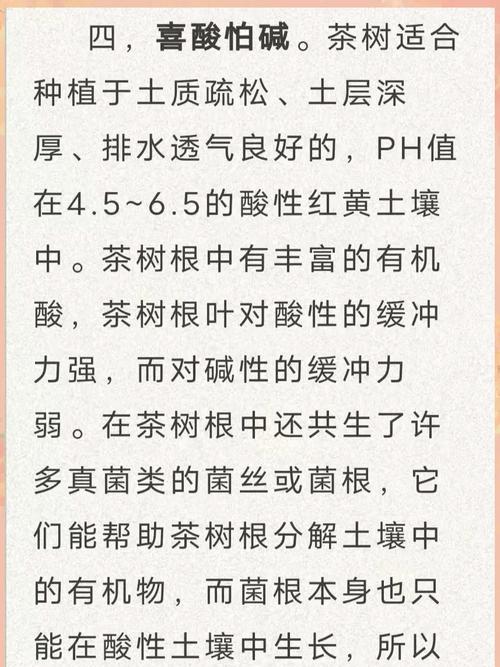 《我的世界》中茶树催熟的方法有哪些？茶树催熟遇到问题怎么办？