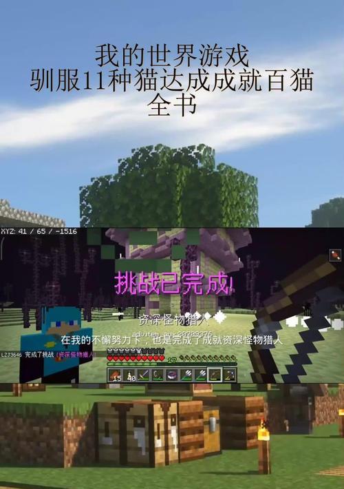小猫在《我的世界》中如何互动？
