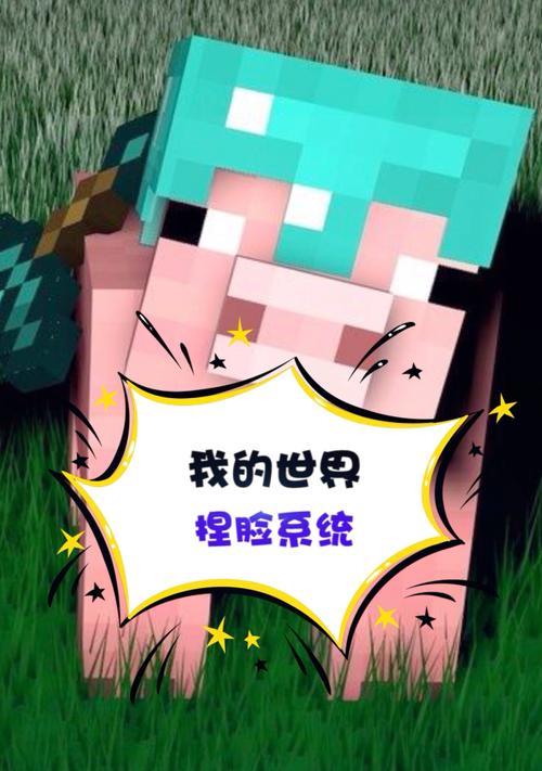 我的世界中捏脸功能如何使用？