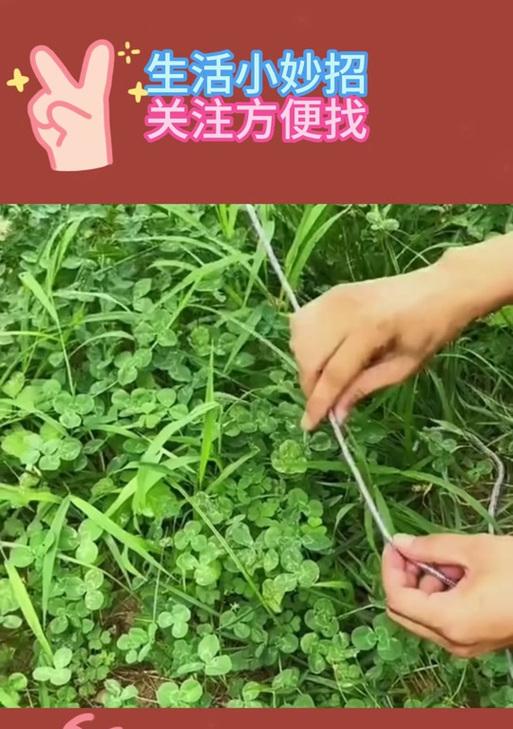 我的世界中绳子的获取和使用方法是什么？