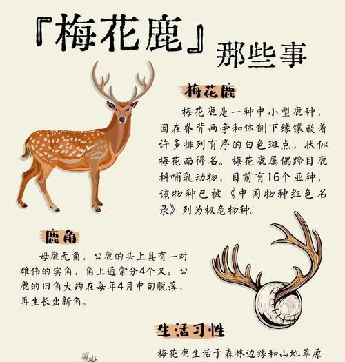 《探秘烟雨江湖麋鹿之奥秘》（游戏中麋鹿的神奇作用）