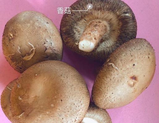原神素鲍鱼（原神素鲍鱼做法及作用简析）