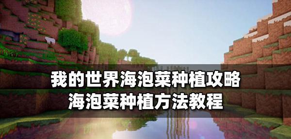 我的世界海泡菜种植方法是什么？需要哪些条件？
