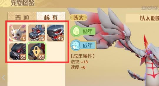 探索梦想新大陆（踏上冒险之旅）