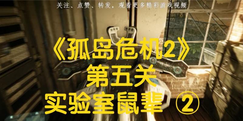 《孤岛危机2》游戏详细文攻略（绝地求生的背后隐藏的玩法与技巧）