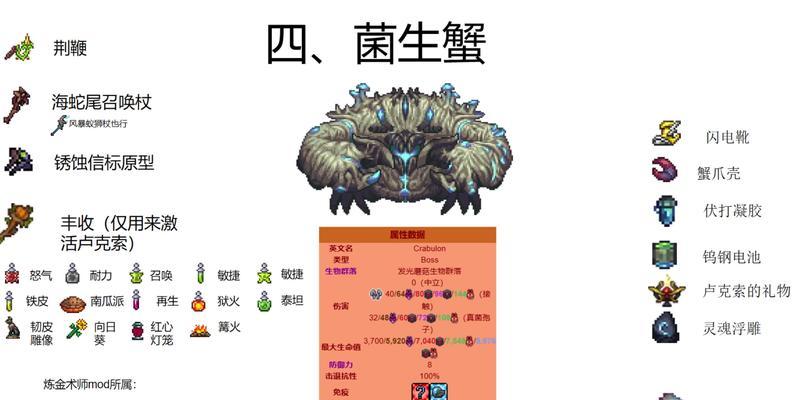 泰拉瑞亚（探索游戏世界中隐藏的宝藏）