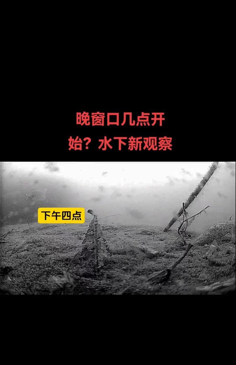 自制钓竿与钓鱼技巧完全攻略，让你在荒野中变钓鱼高手（自制钓竿与钓鱼技巧完全攻略）