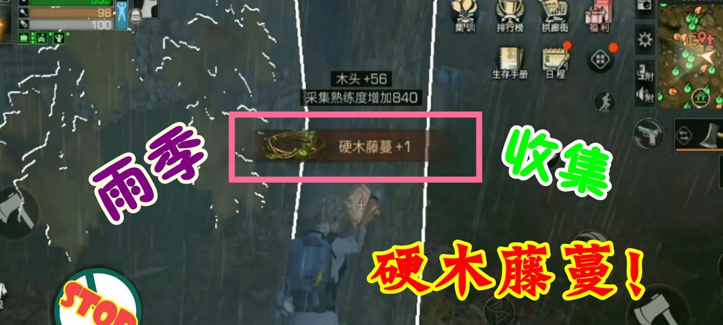 揭秘明日之后秋日森林的不明生物（探索游戏中隐藏的神秘生物群落）