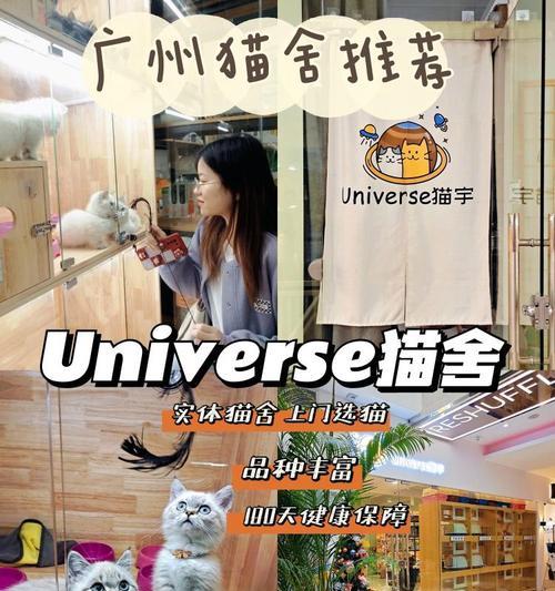 开心猫舍旅行照片获取指南（探索S各地的秘密）