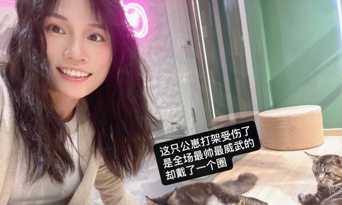 开心猫舍旅行照片获取指南（探索S各地的秘密）