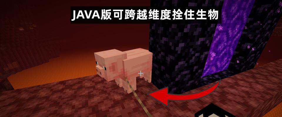 我的世界拴住动物的方法是什么？