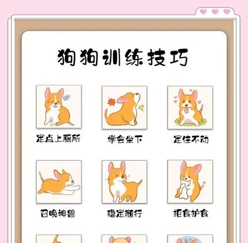 绝地求生中如何训练宠物狗？训狗有哪些技巧和注意事项？