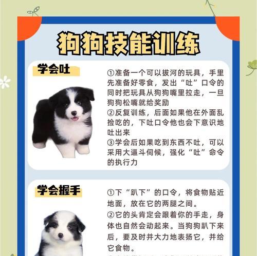 绝地求生中如何训练宠物狗？训狗有哪些技巧和注意事项？