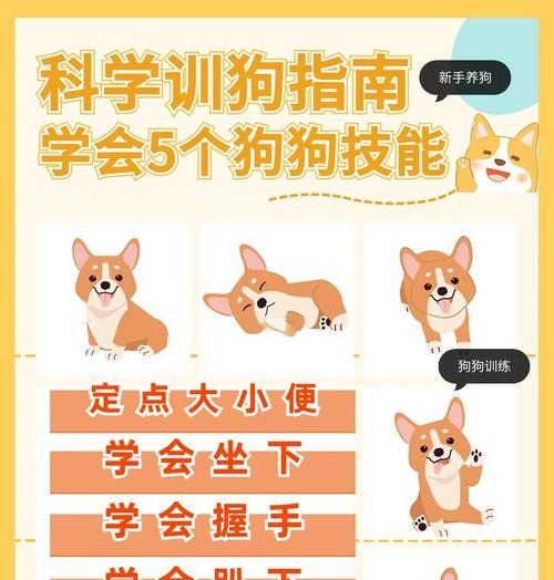 绝地求生中如何训练宠物狗？训狗有哪些技巧和注意事项？